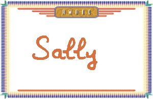 SallyдӢ